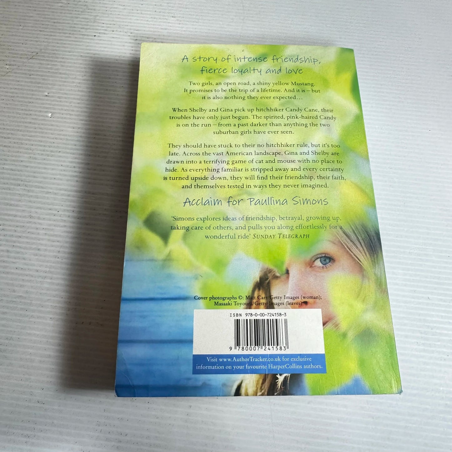 Road To Paradise - Paullina Simons