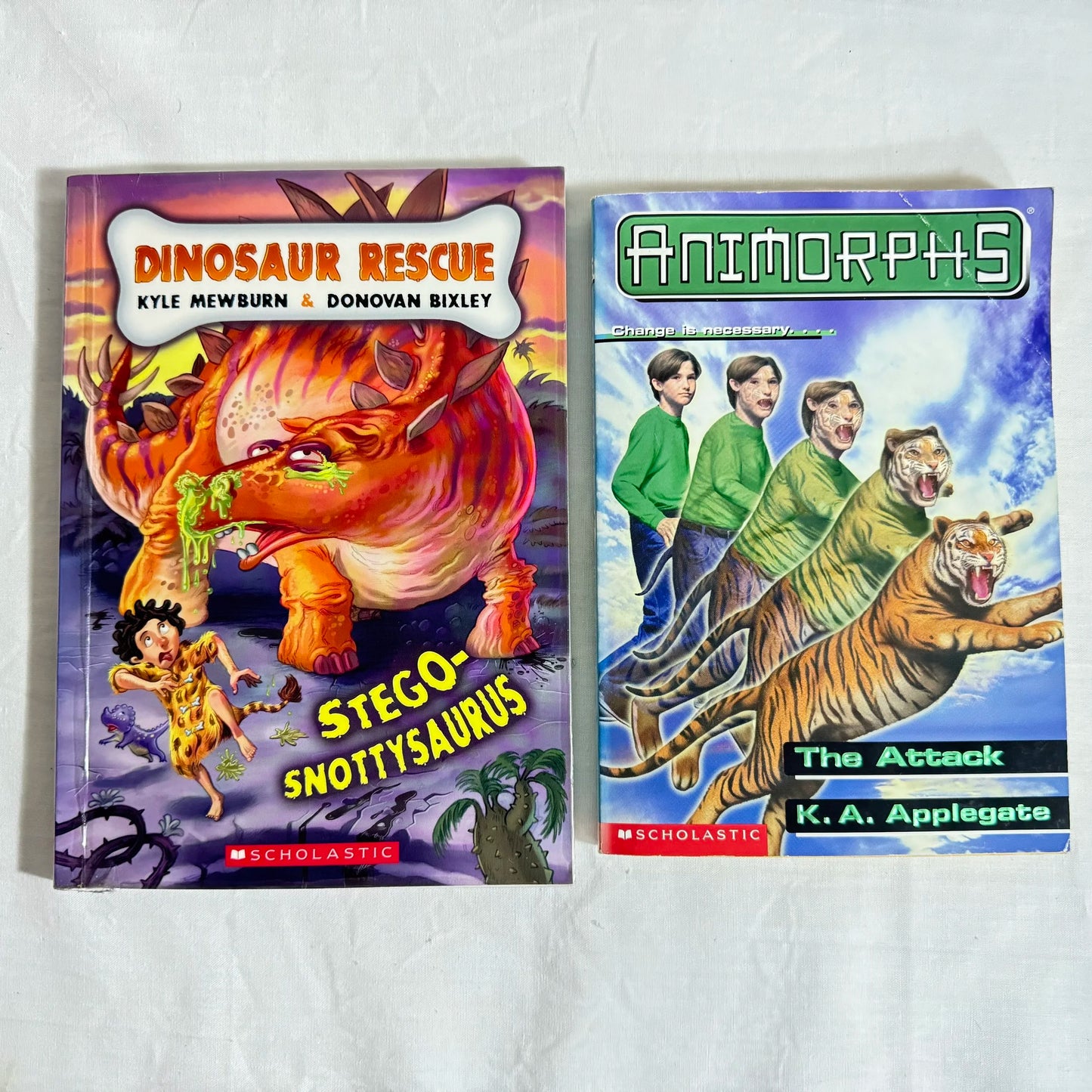 Children's Chapter Book Bundle x 2 Books
