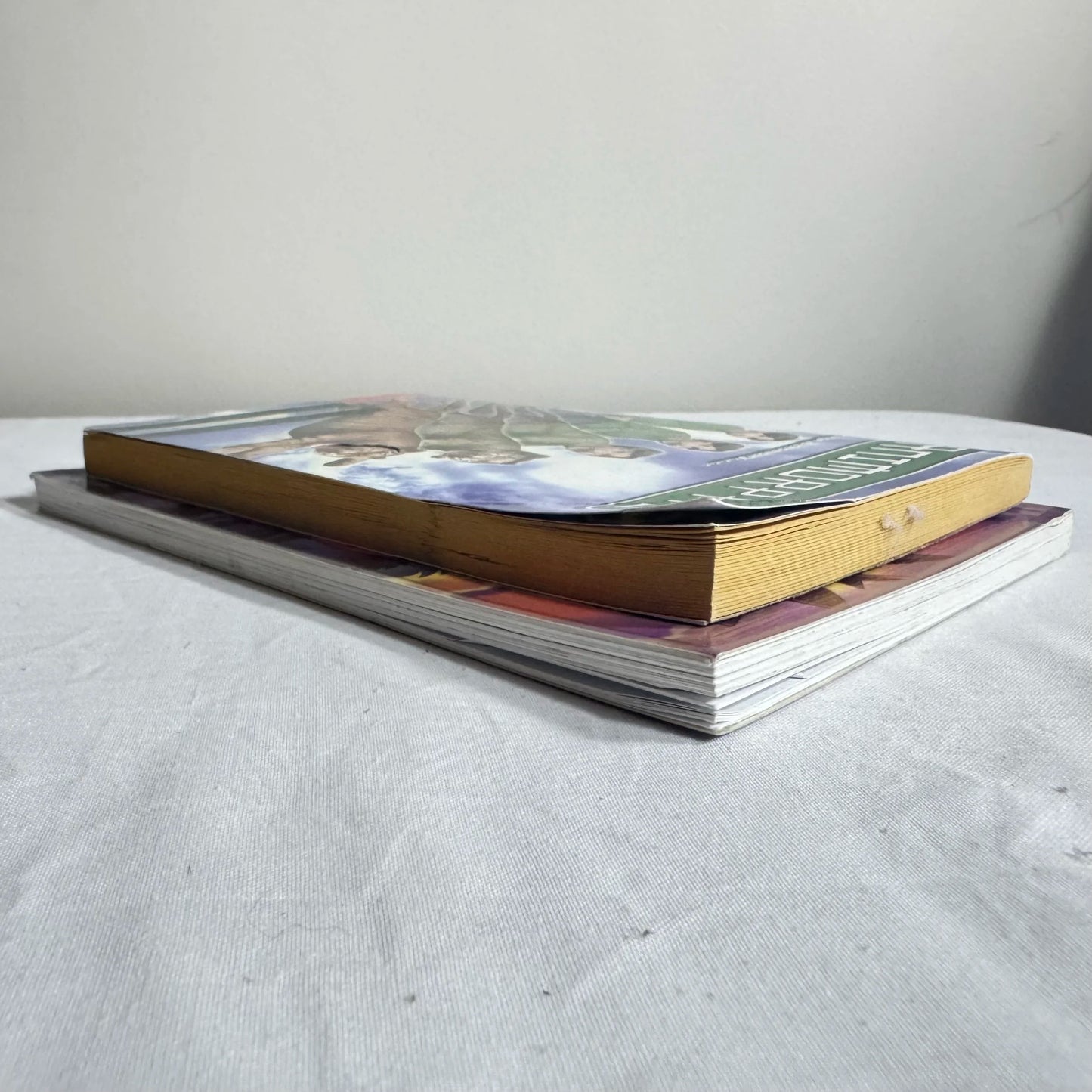 Children's Chapter Book Bundle x 2 Books