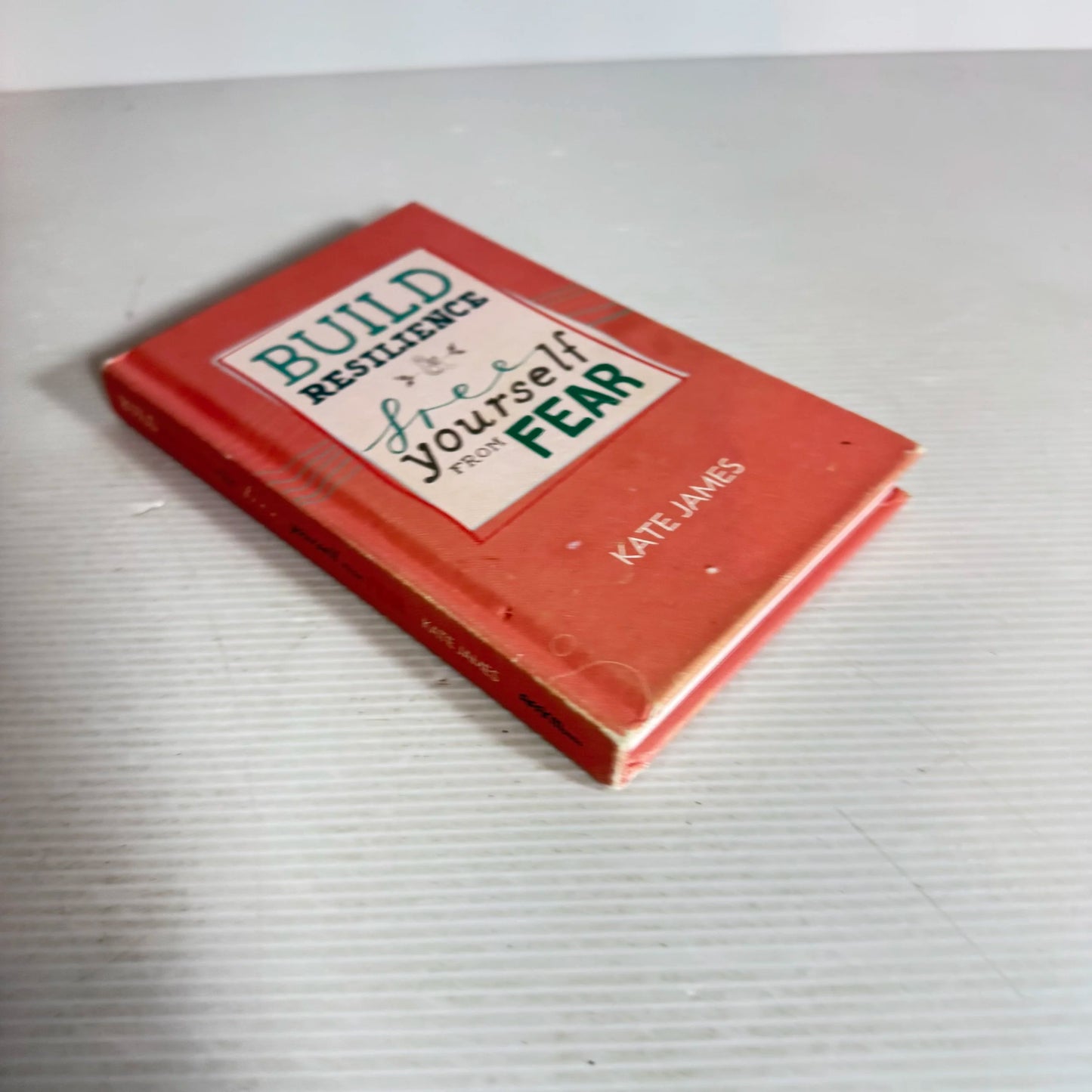 Build Resilience & Free Yourself From Fear - Kate James