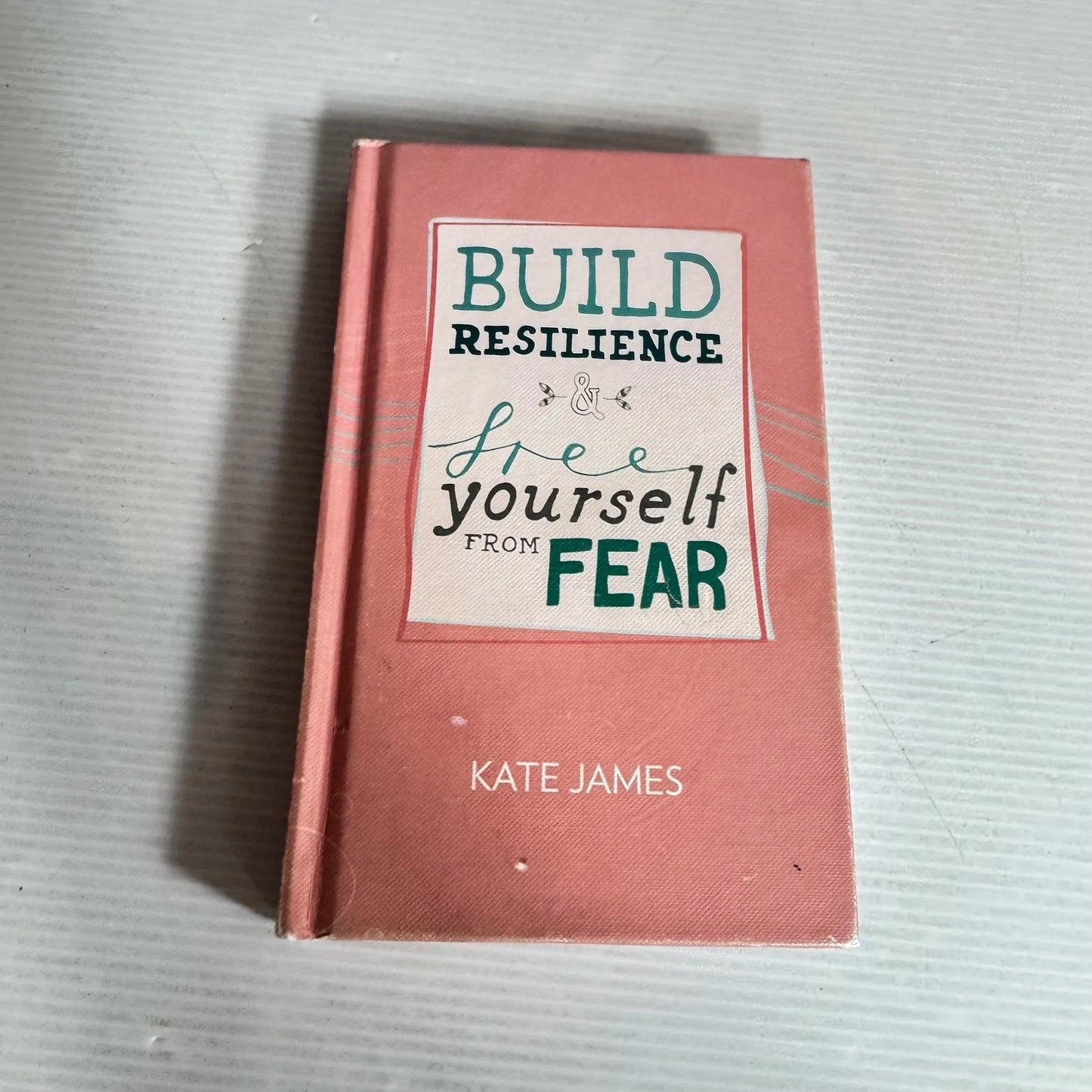 Build Resilience & Free Yourself From Fear - Kate James