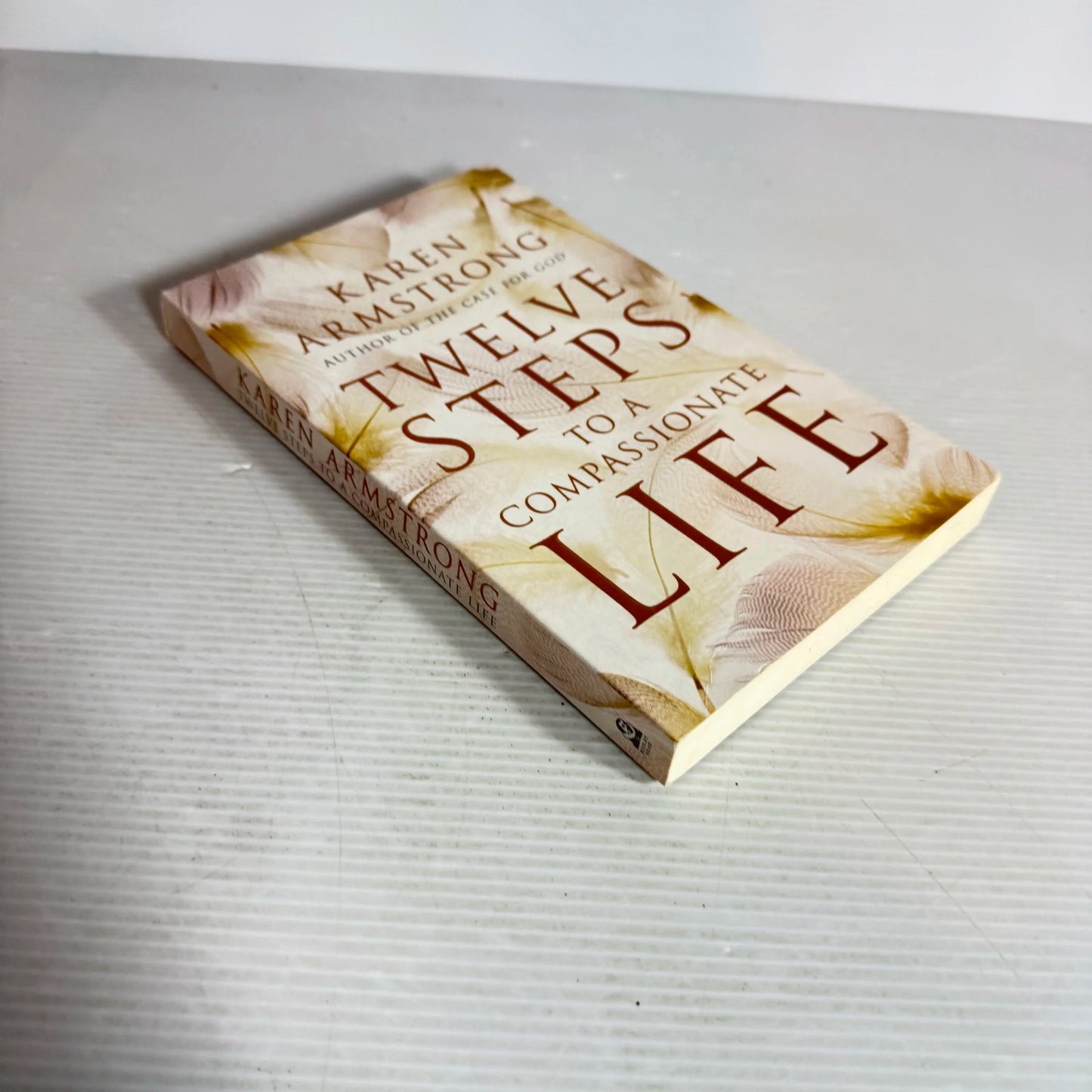 Twelve Steps To A Compassionate Life - Karen Armstrong