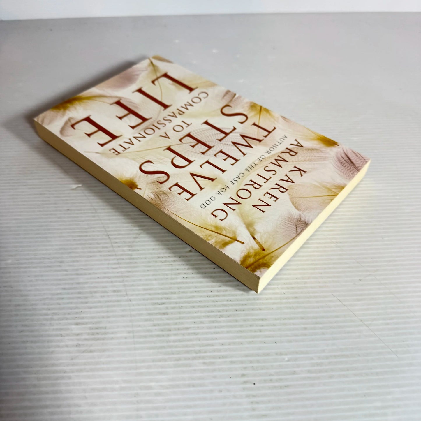 Twelve Steps To A Compassionate Life - Karen Armstrong
