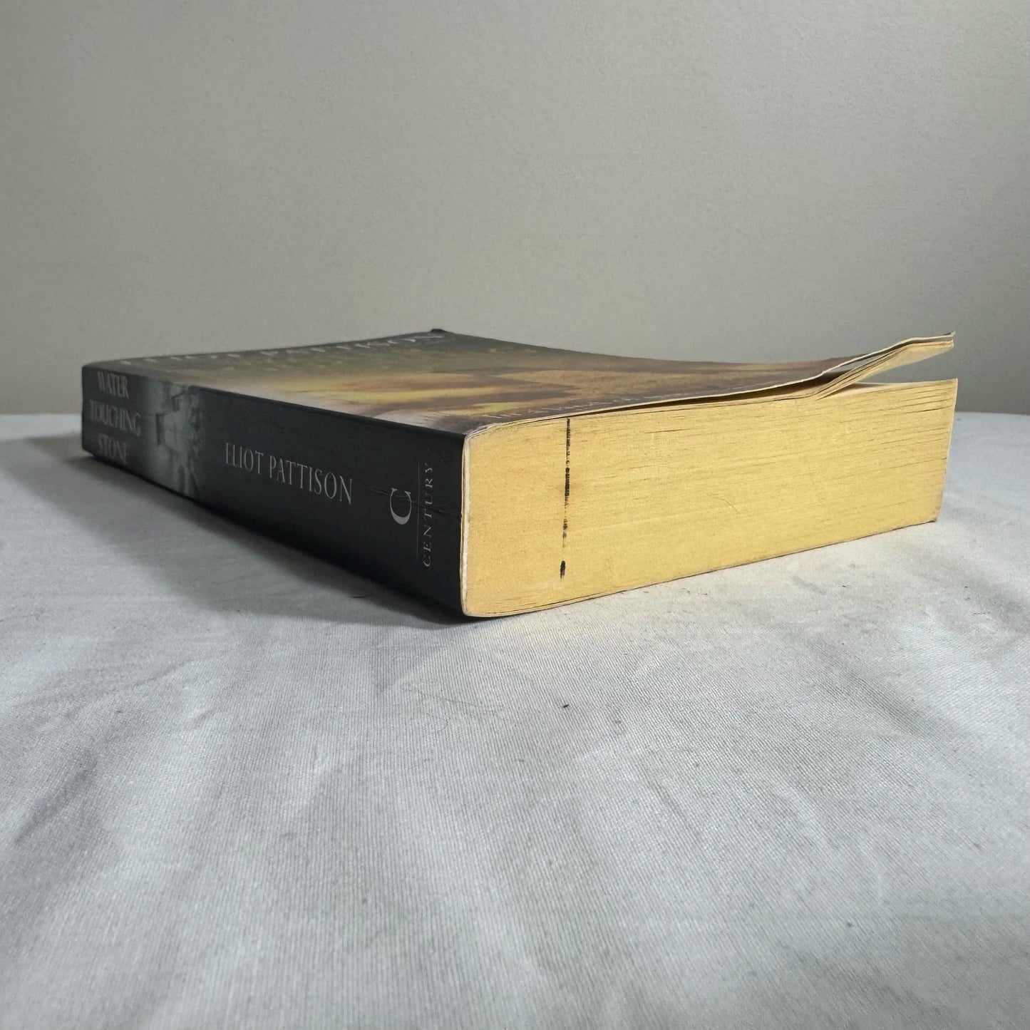 Water Touching Stone - Eliot Pattison