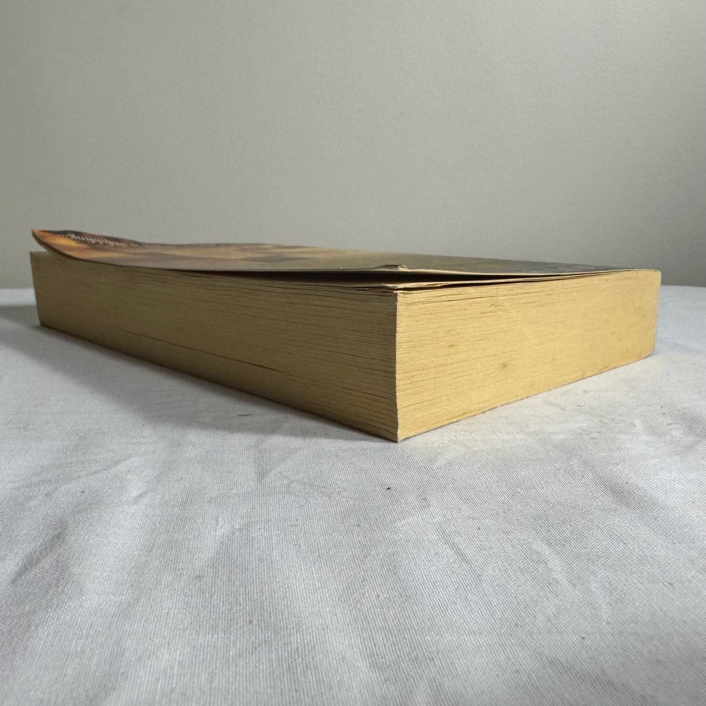 Water Touching Stone - Eliot Pattison