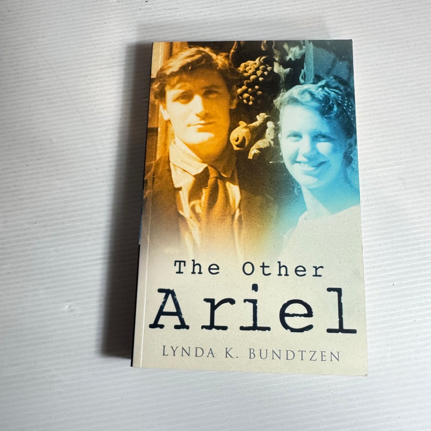The Other Ariel - Lynda K. Bundtzen