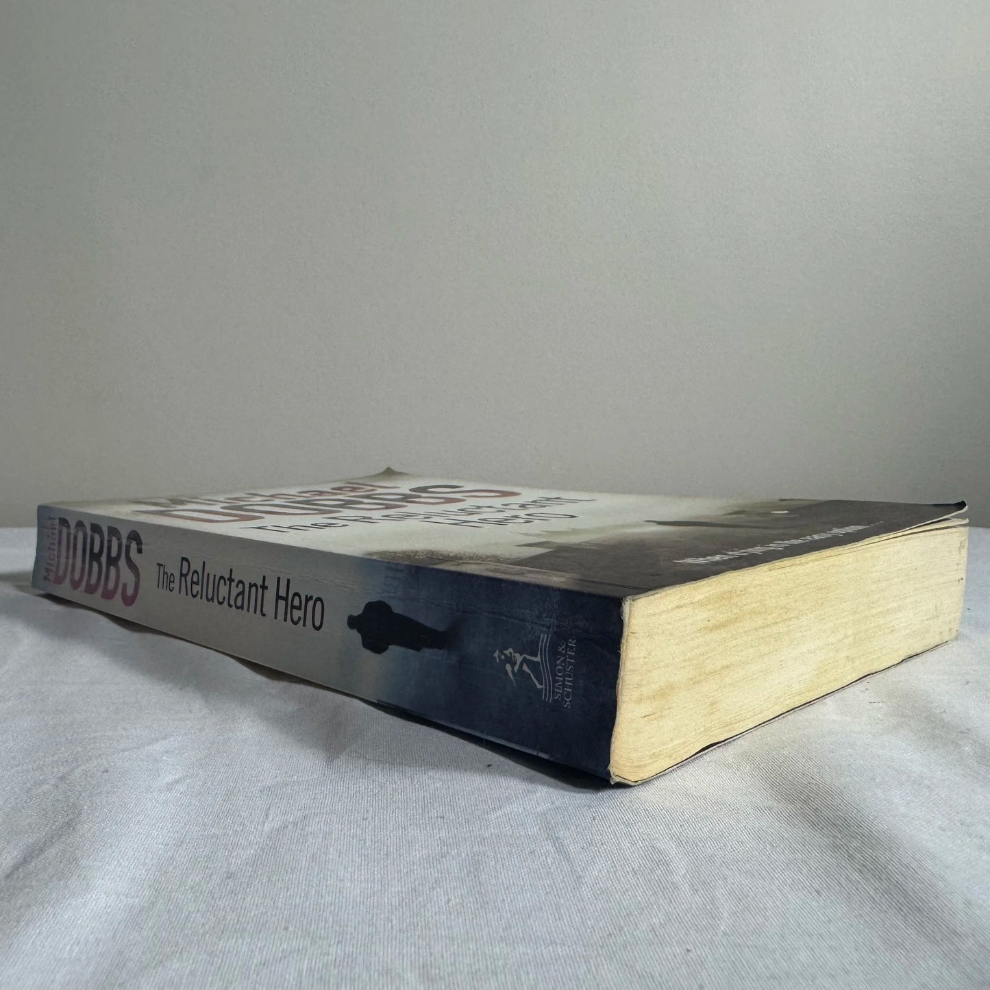 The Reluctant Hero - Michael Dobbs