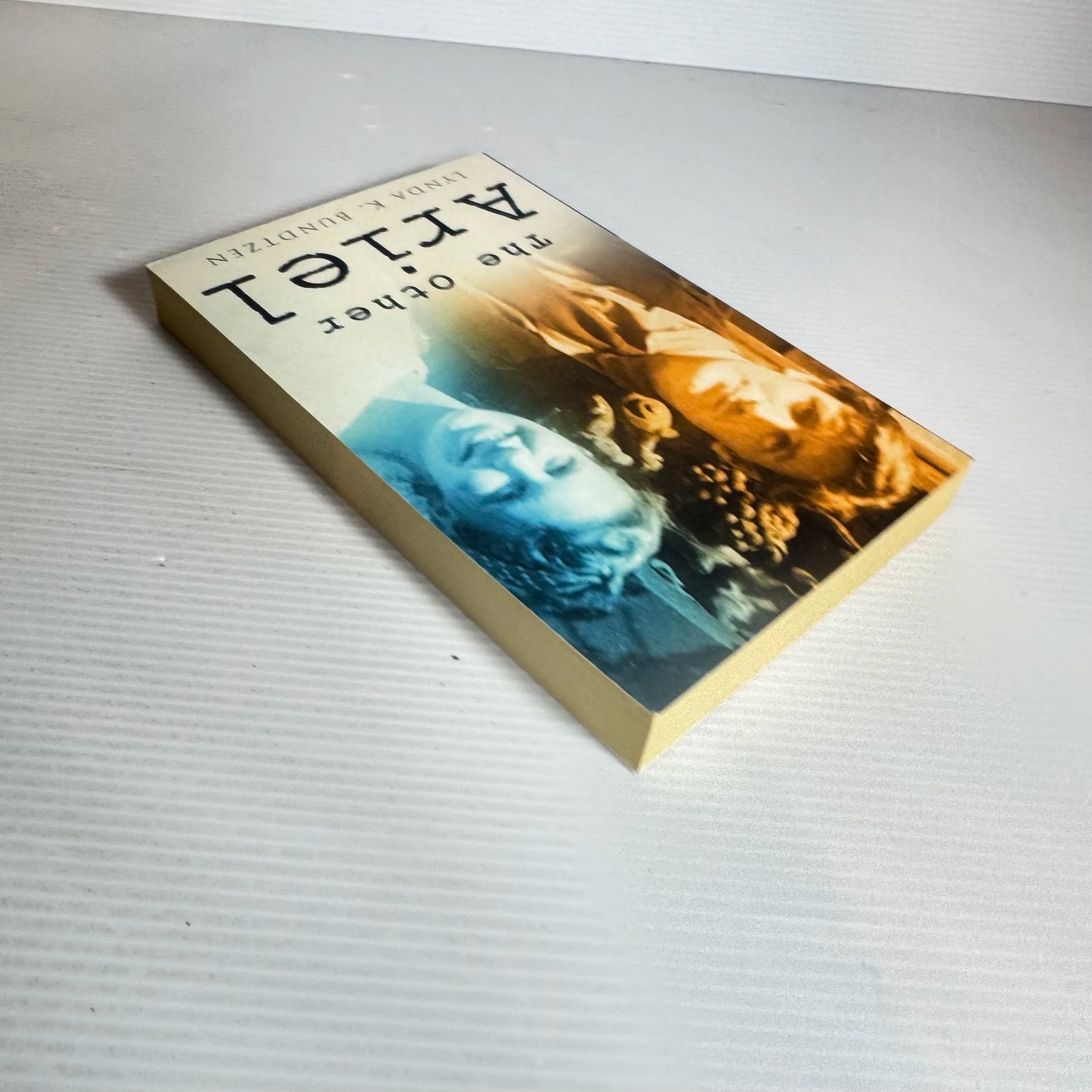The Other Ariel - Lynda K. Bundtzen