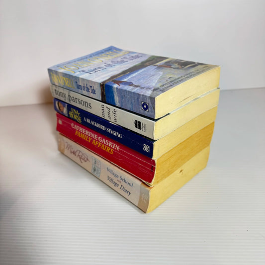 Domestic Fiction Book Bundle x 5 Books Various Authors (2088)