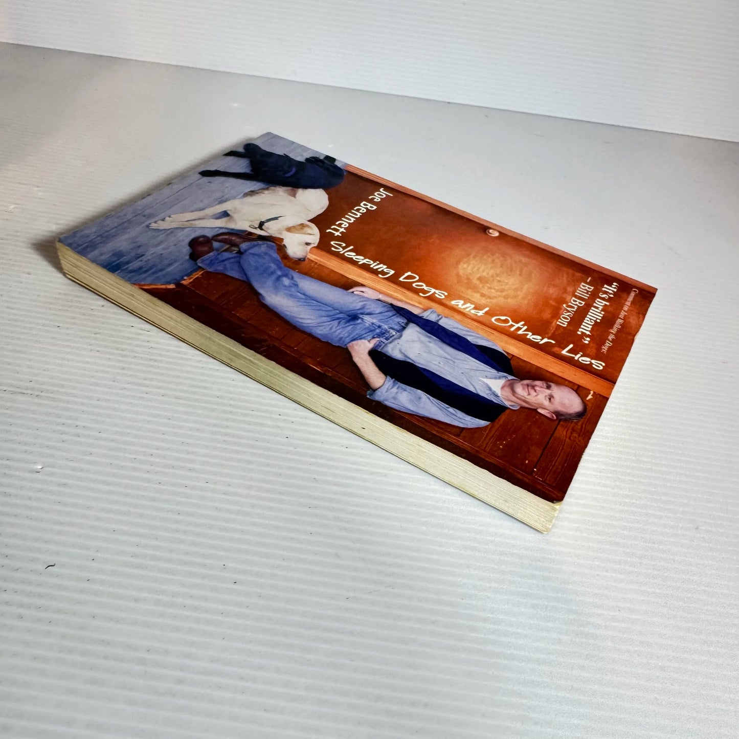 Sleeping Dogs and Other Lies - Joe Bennett
