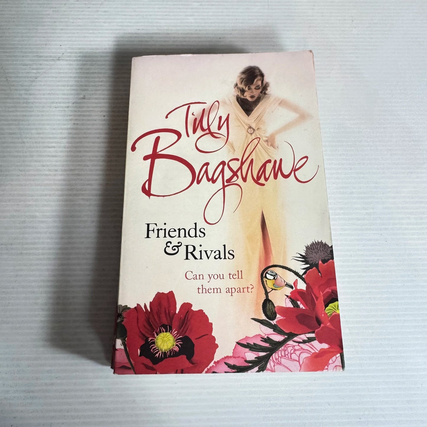 Friends & Rivals : Can You Tell Them Part? - Tilly Bagshawe
