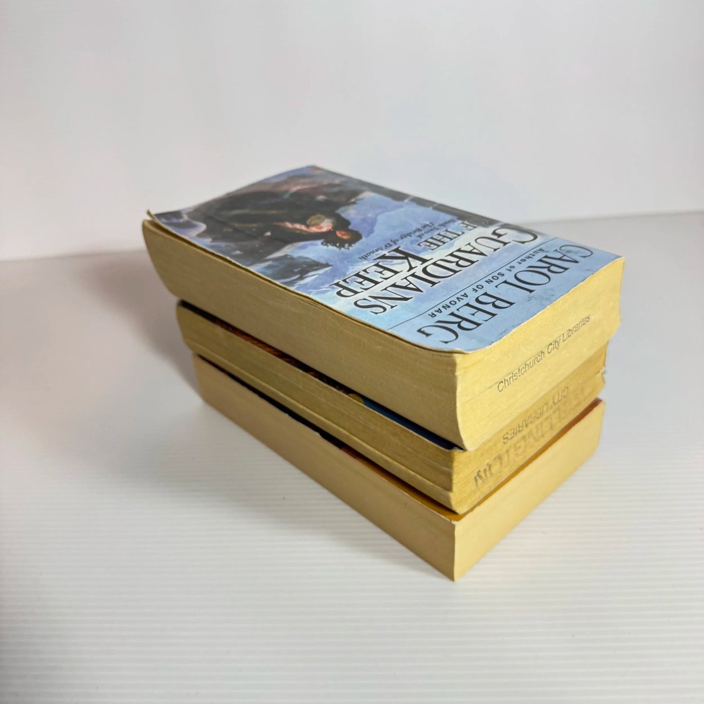 Fantasy Book Bundle x 3 :  Year's Best Fantasy - Edited by David G. Hartwell, Guardians of the Keep - Carol Berg, The Lesser Kindred - Elizabeth Kerner (2023)