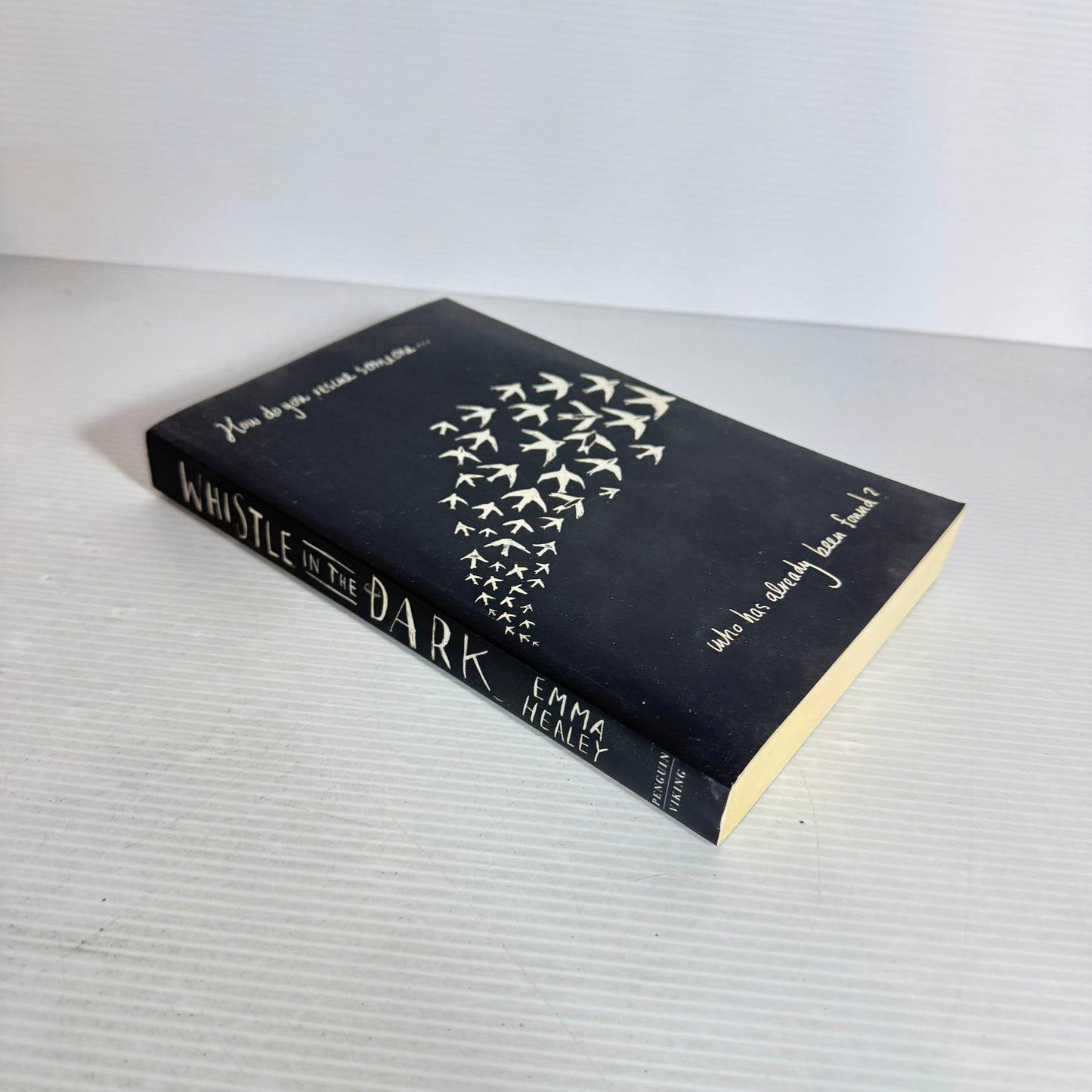 Whistle in the Dark - Emma Healey