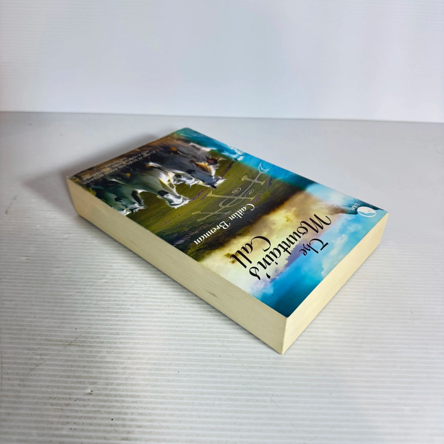 The Mountain's Call - Caitlin Brennan