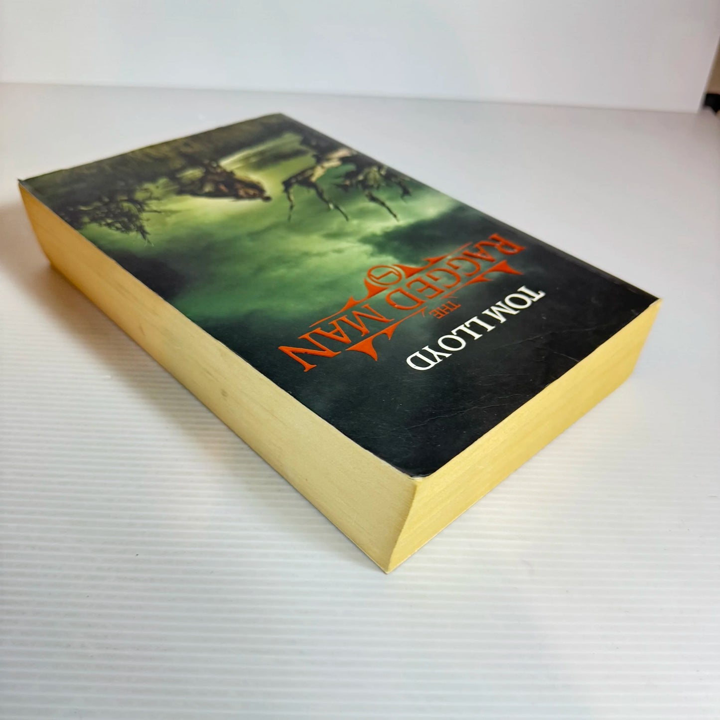 The Ragged Man - Tom Lloyd