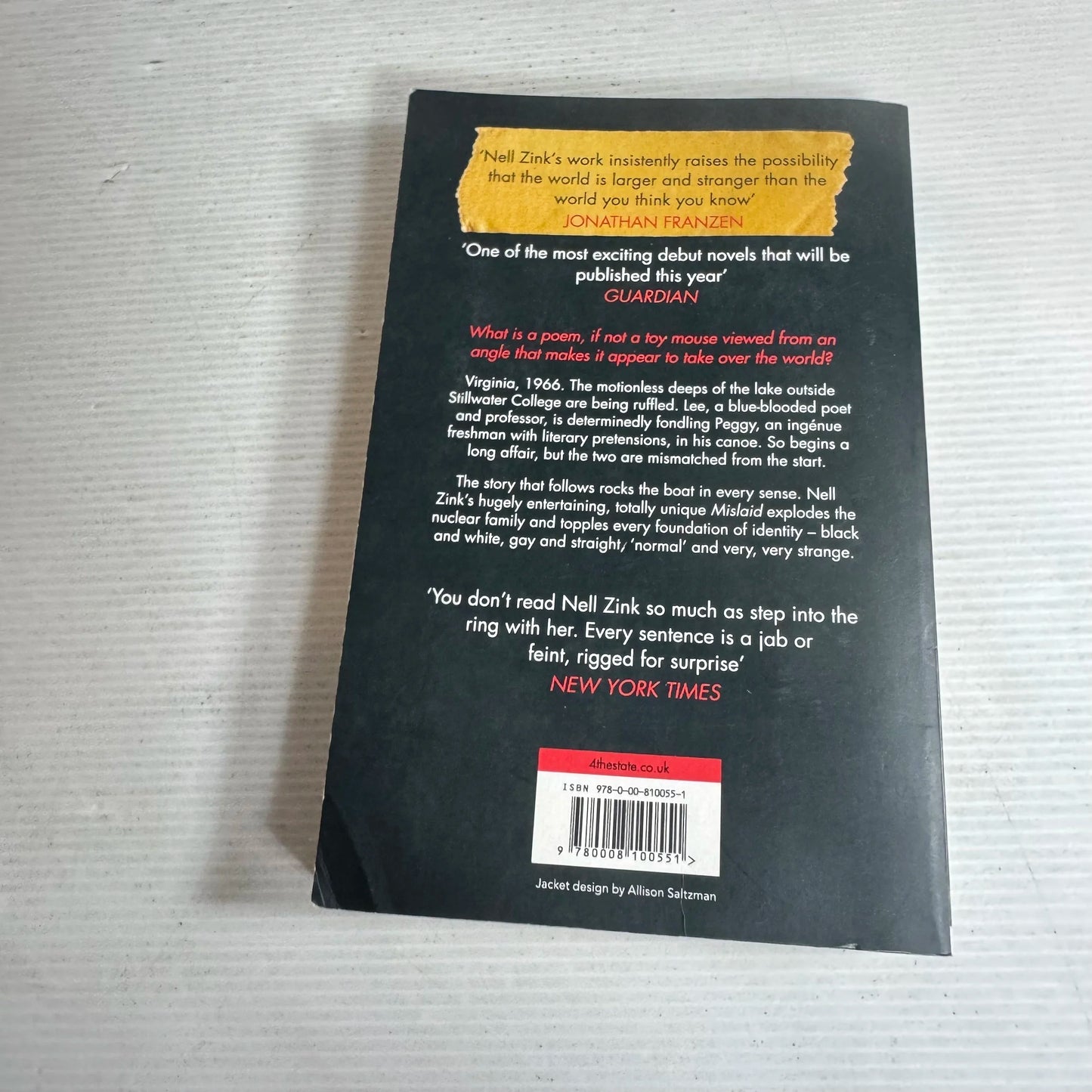 Mislaid - Nell Zink