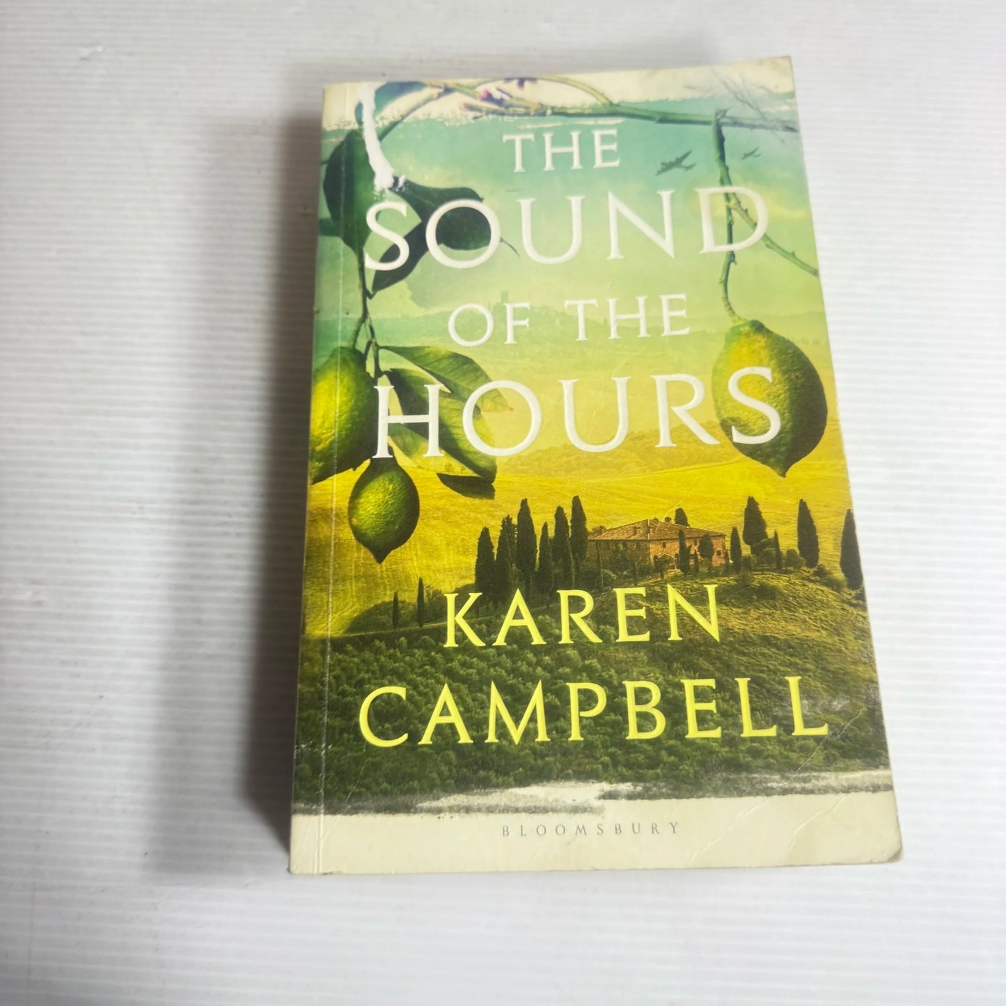 The Sound of the Hours - Karen Campbell