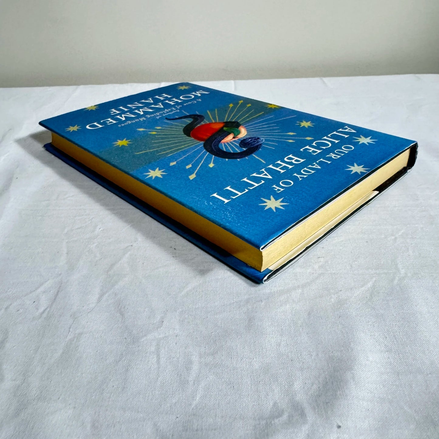 Our lady Of Alice Bhatti - Mohammed Hanif