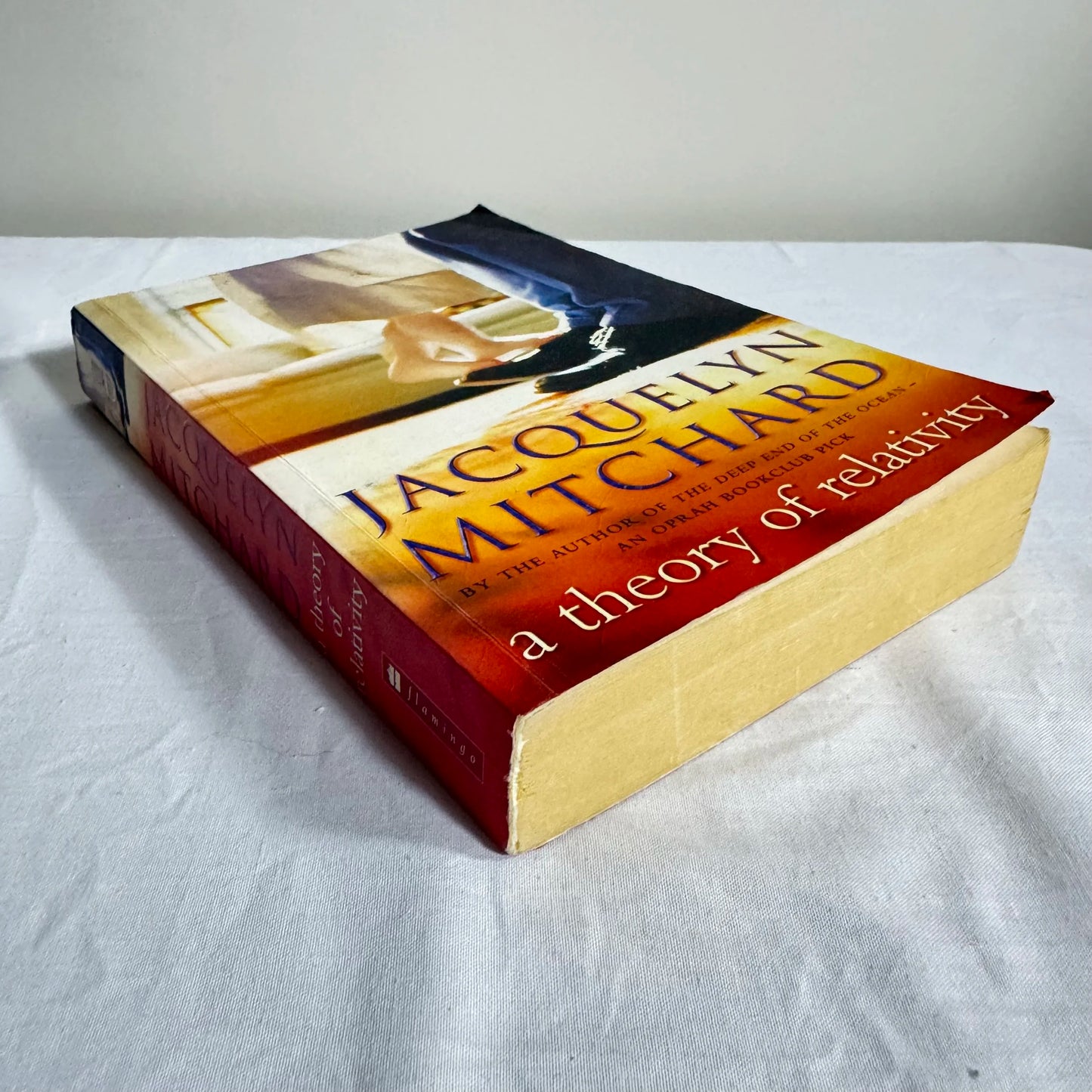 A Theory of Relativity - Jacquelyn Mitchard