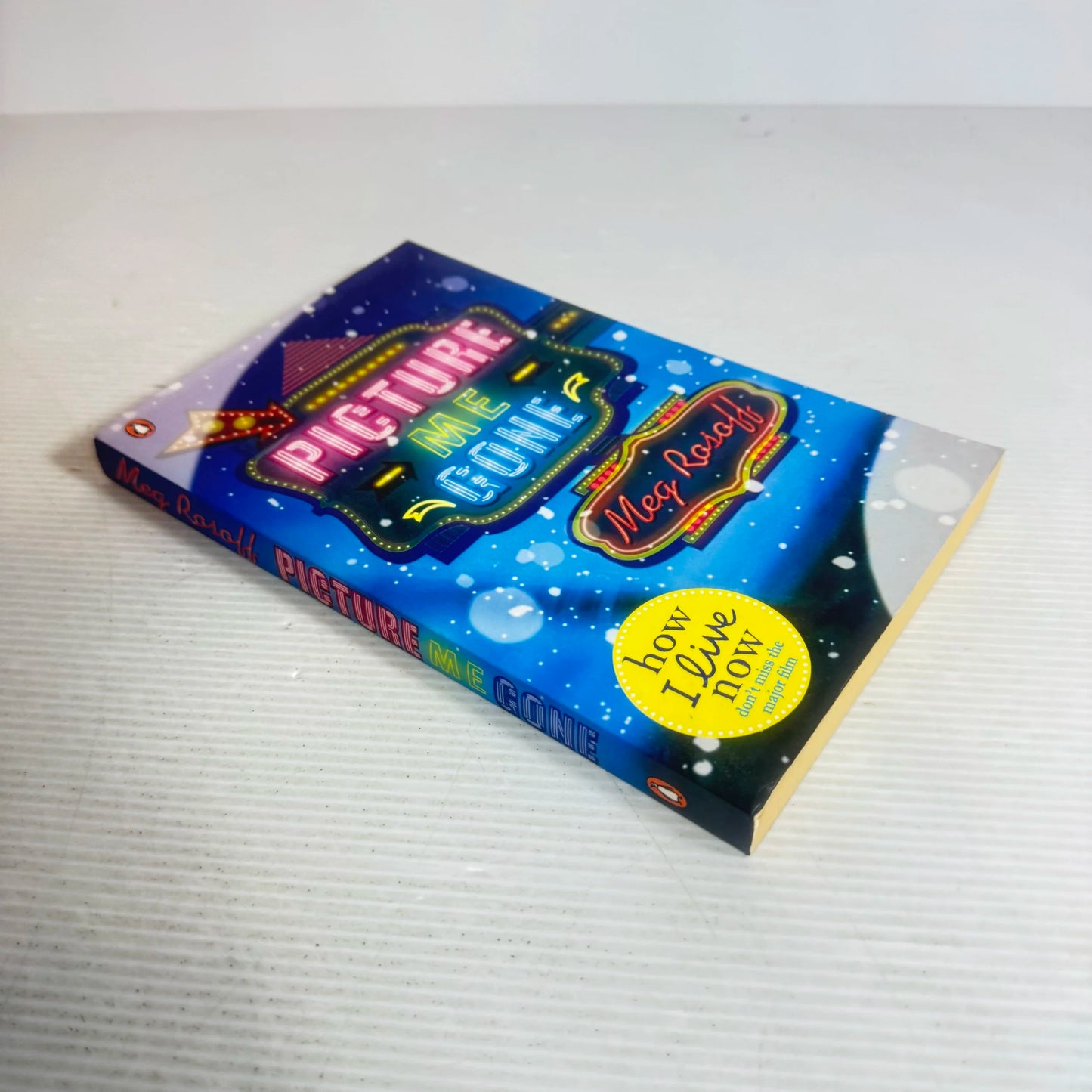 Picture Me Gone - Meg Rasaff