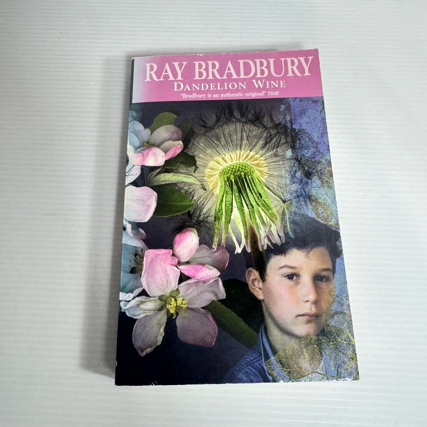 Dandelion Wine - Ray Bradbury