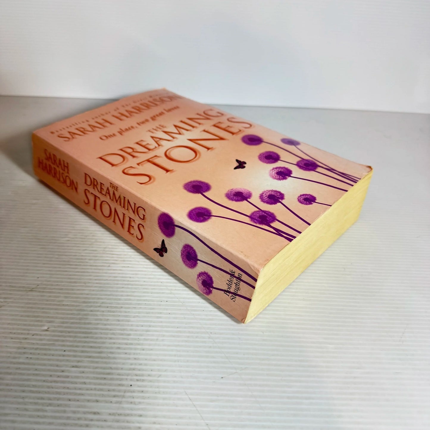 The Dreaming Stones - Sarah Harrison
