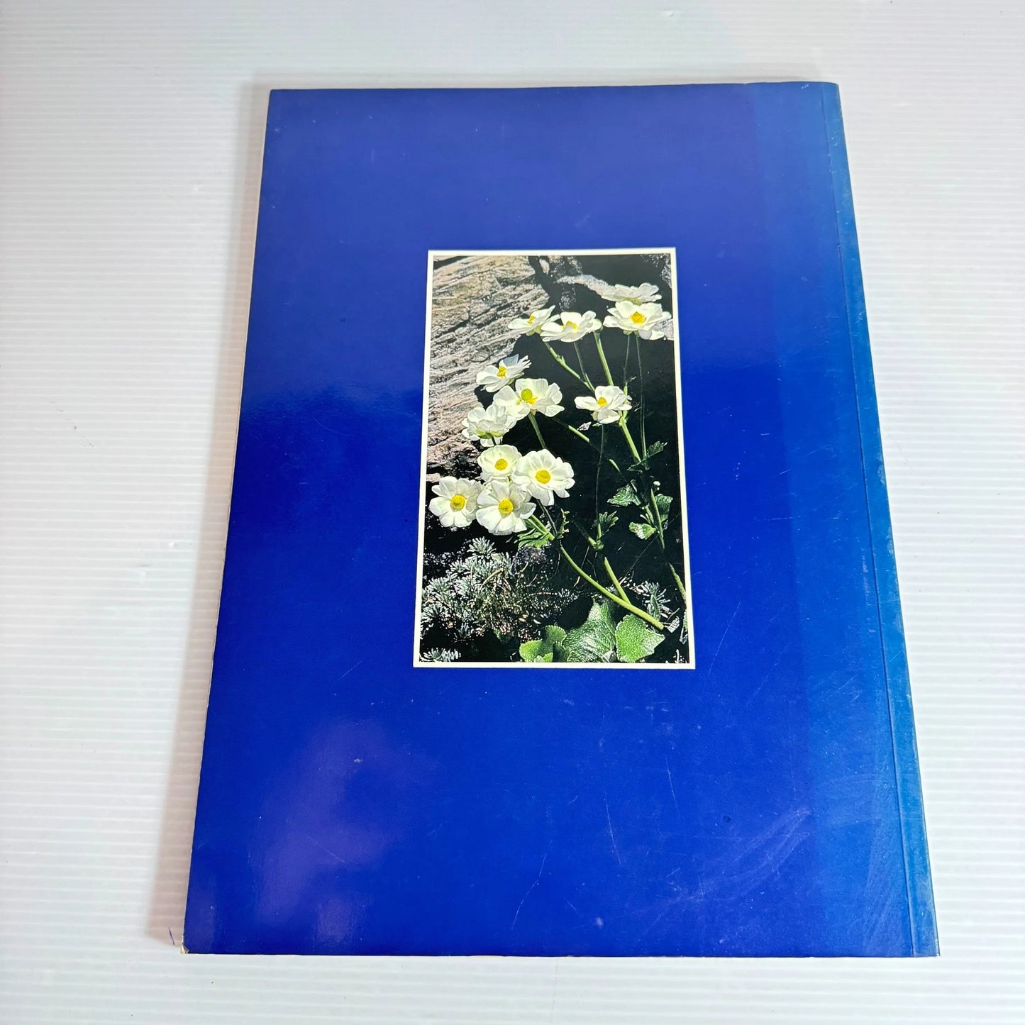 The Alpine World of Mount Cook National Park - Lands & Surveys Department (Vintage 1984)
