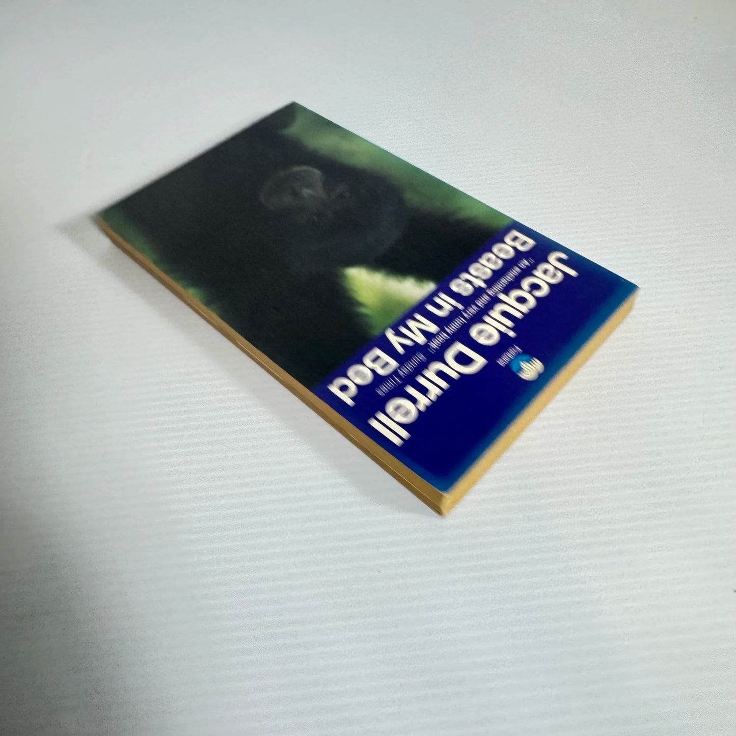 Beasts In My Bed - Jacquie Durrell