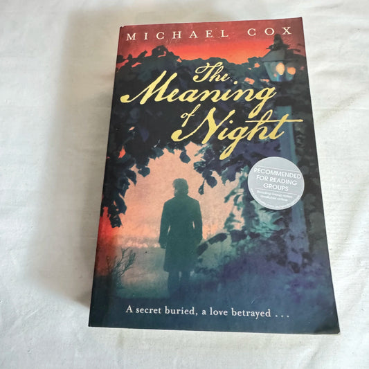 The Meaning of Night - Michael Cox