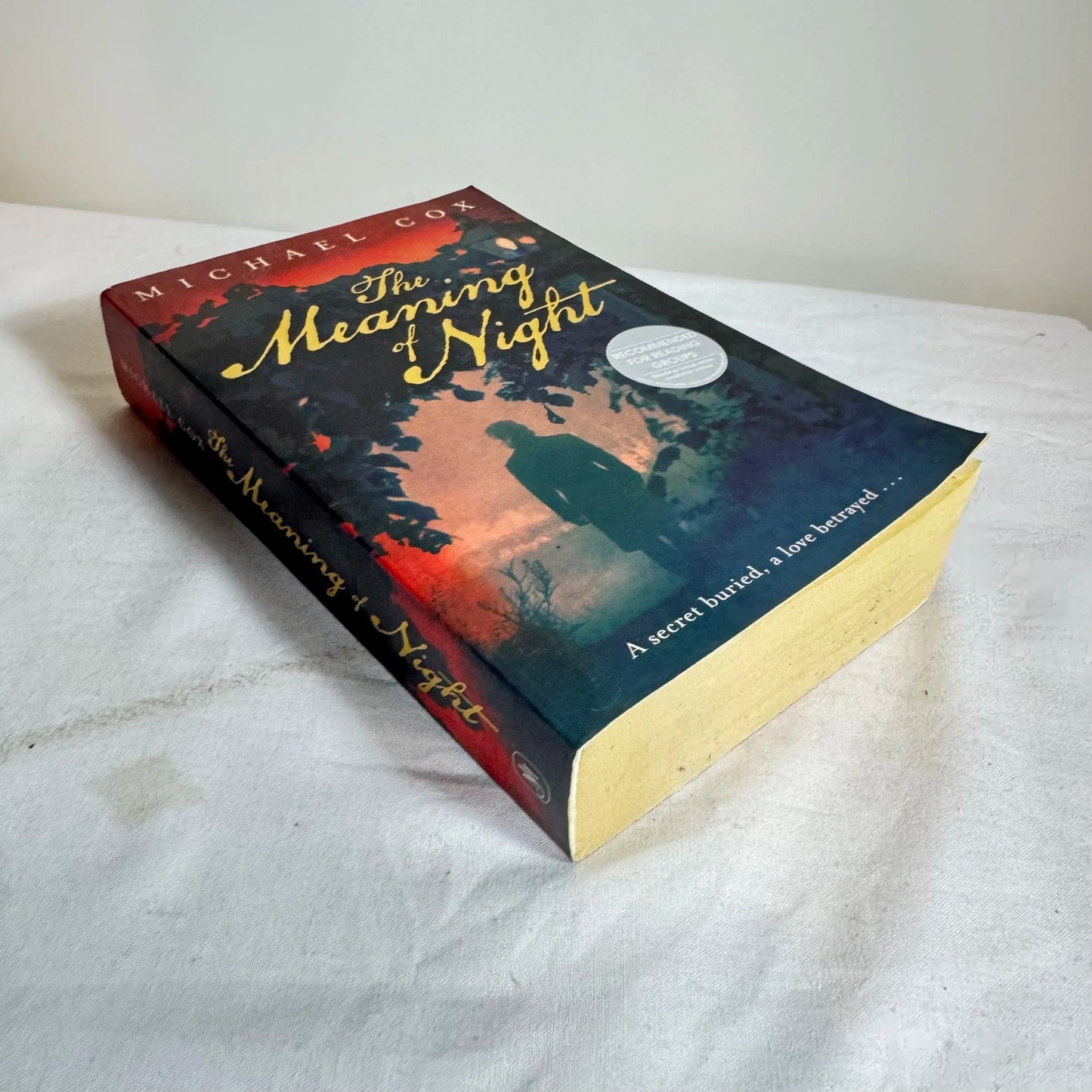 The Meaning of Night - Michael Cox