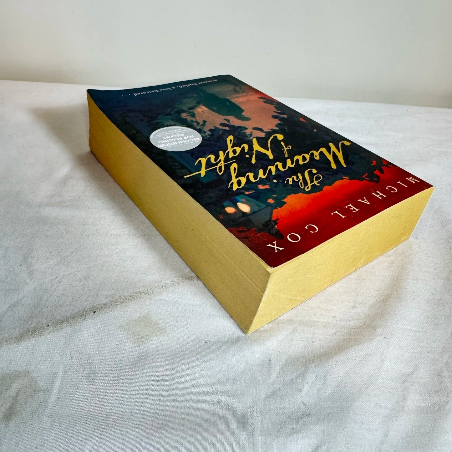 The Meaning of Night - Michael Cox