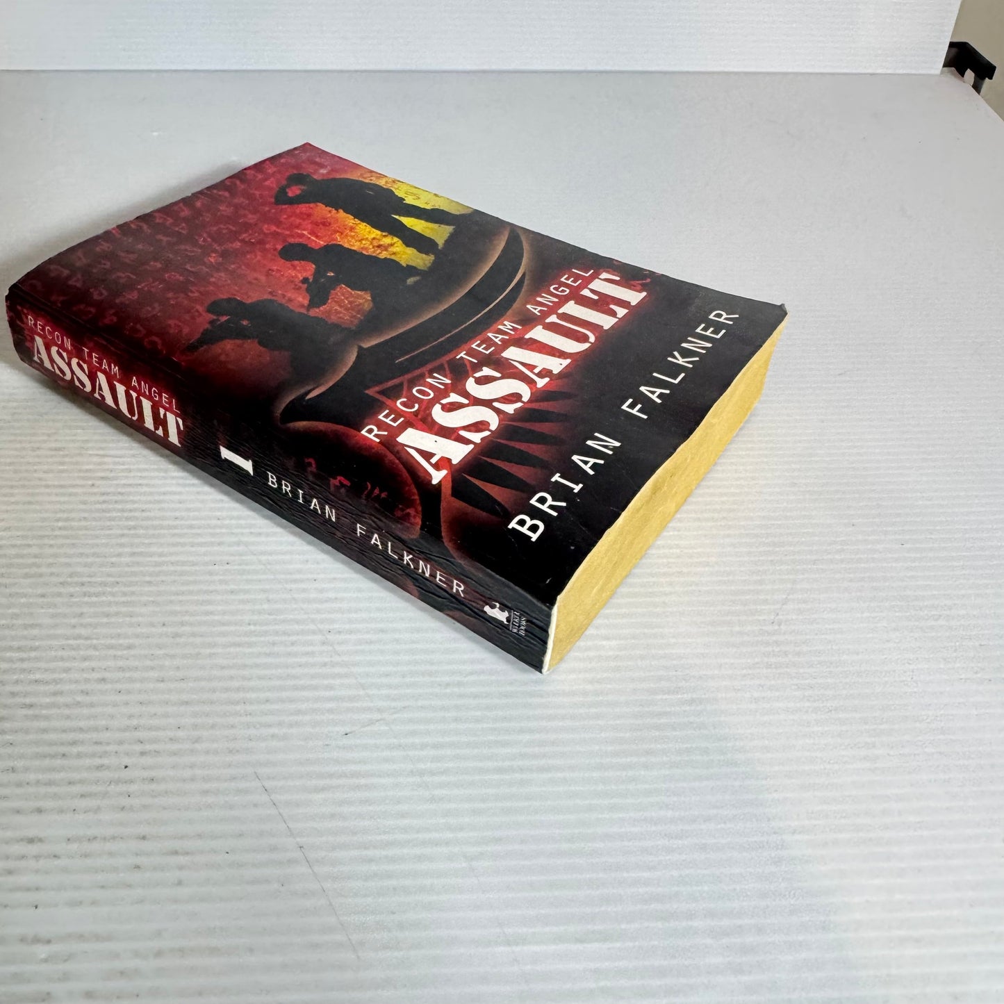 Recon Team Angel : Assault - Brian Falkner