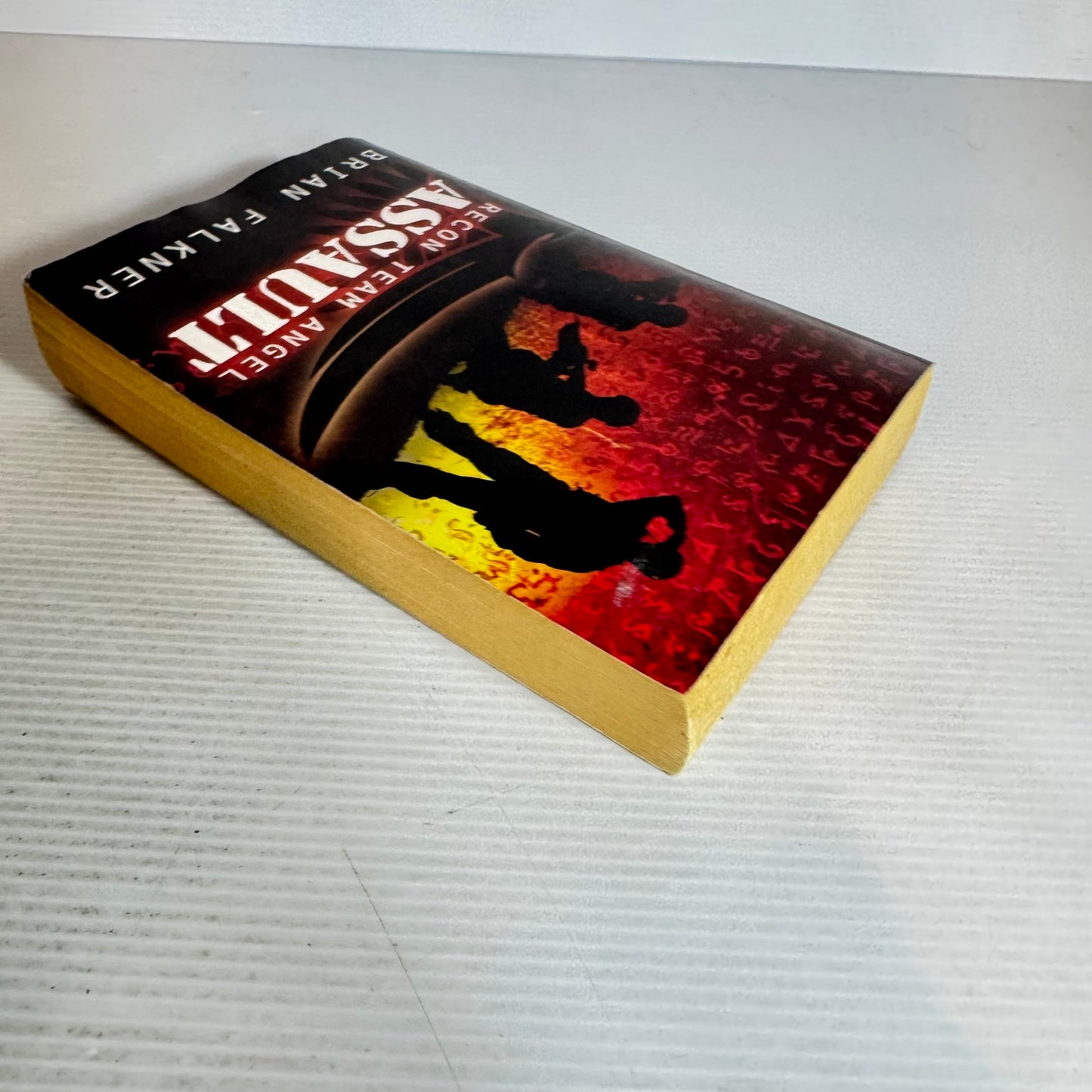 Recon Team Angel : Assault - Brian Falkner