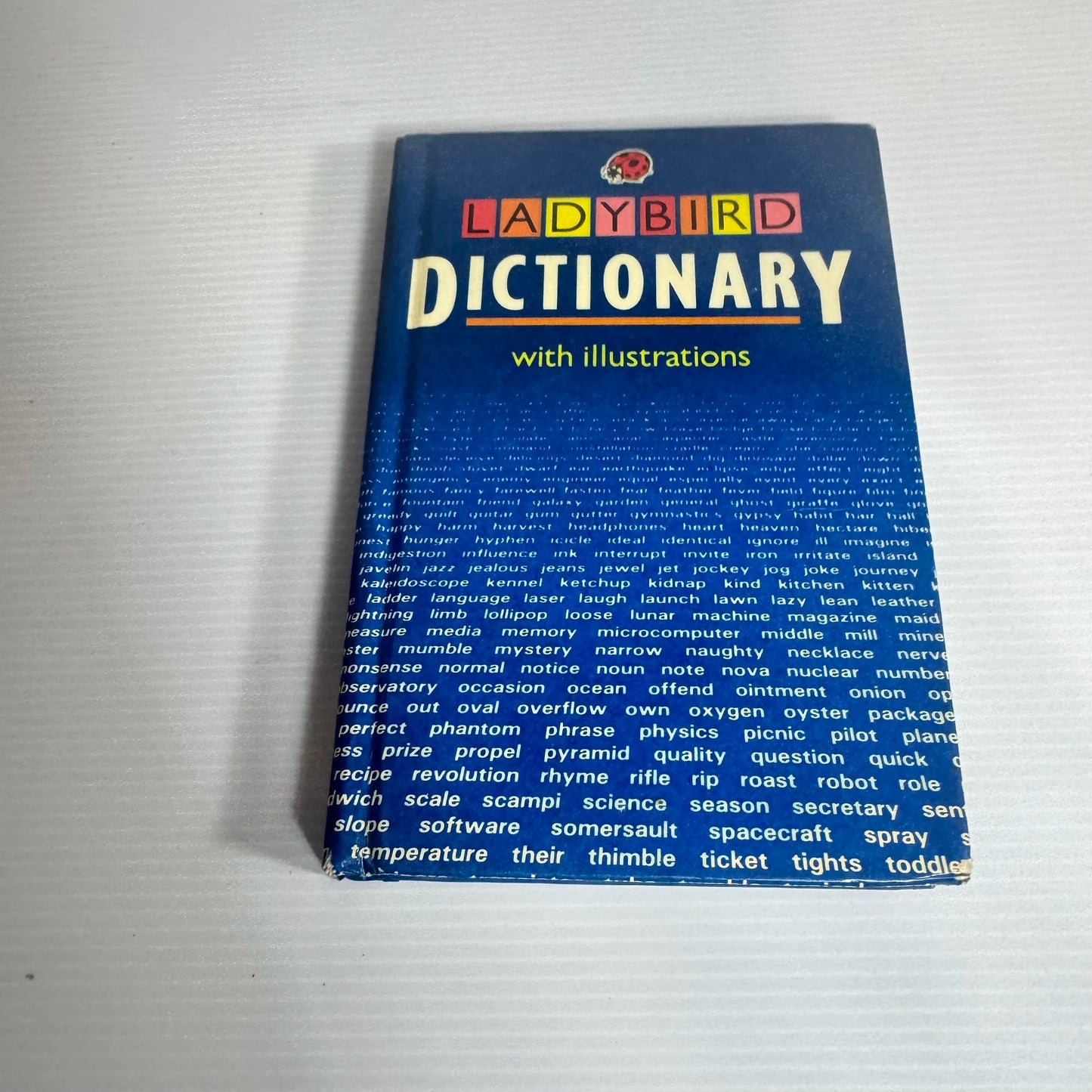 Ladybird Dictionary With Illustrations