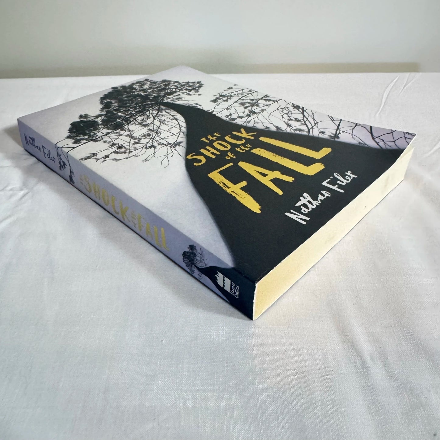 The Shock of the Fall - Nathan Filer