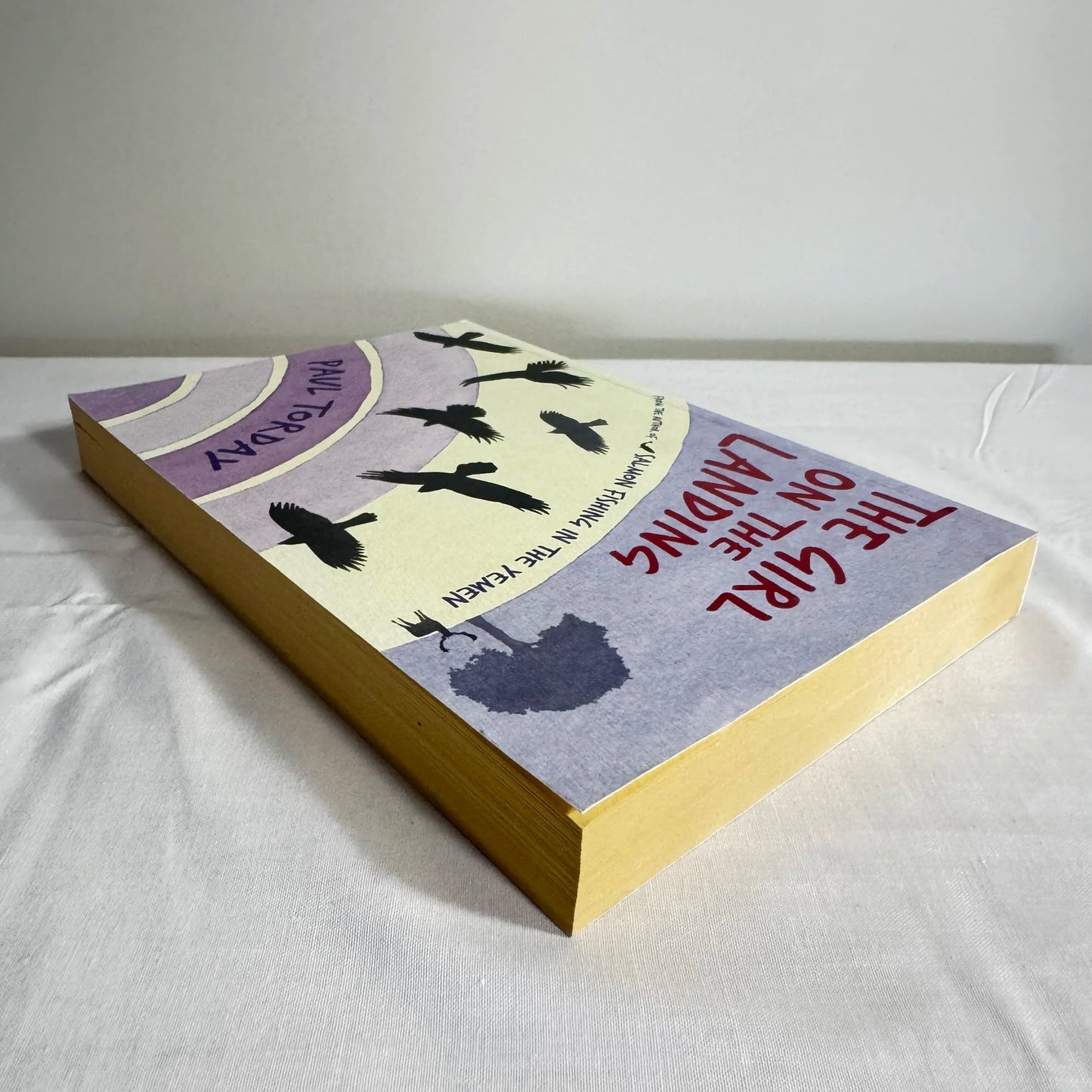 The Girl On The Landing - Paul Torday