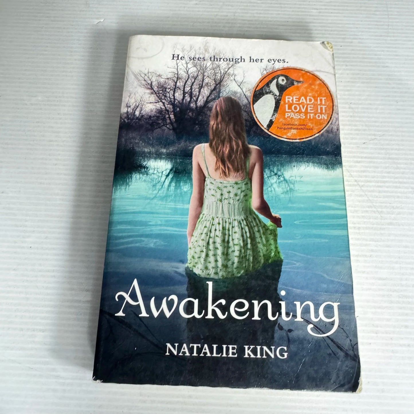 Awakening - Natalie King