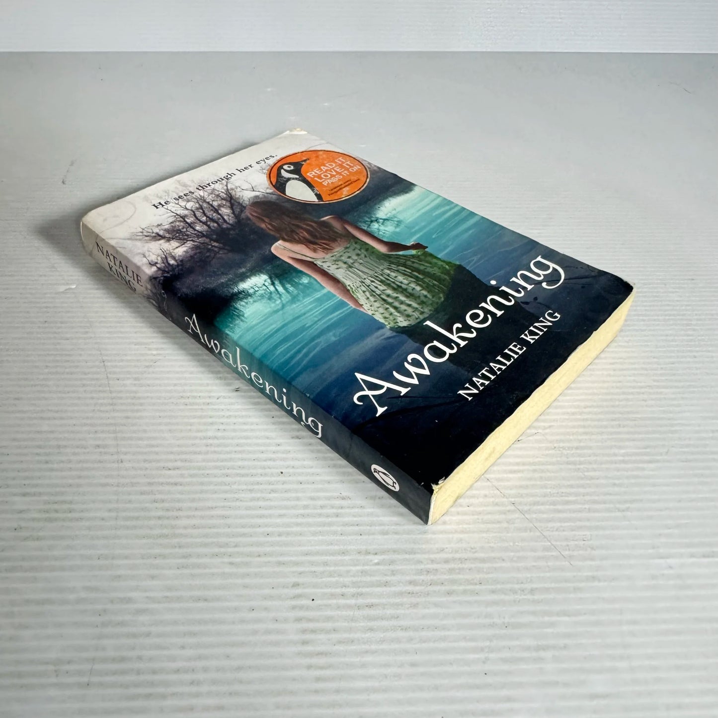 Awakening - Natalie King