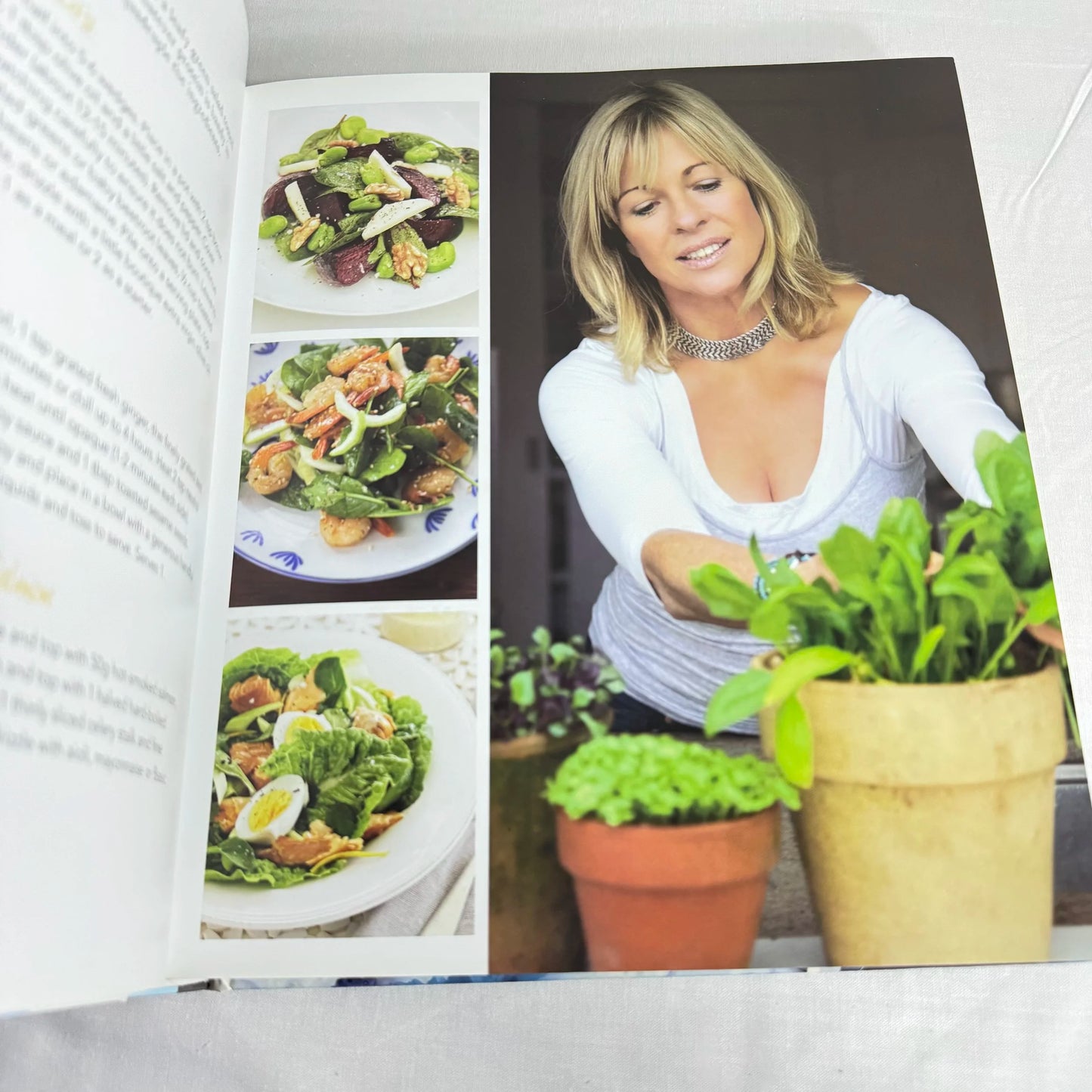 Annabel Langbein - Free Range In The City Recipe Book