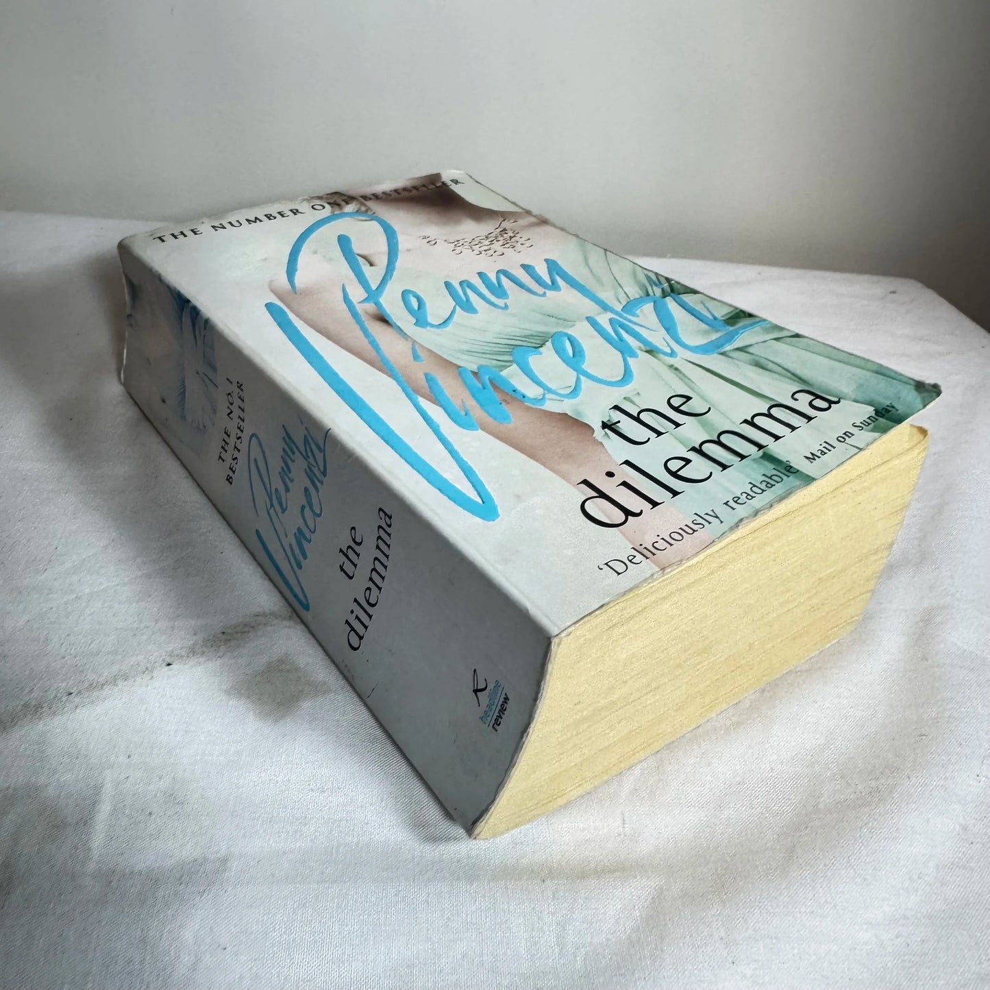 The Dilemma - Penny Vincenzi