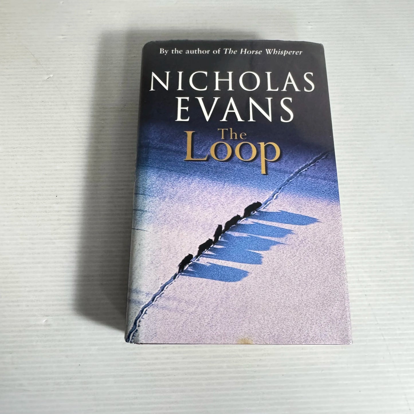 The Loop - Nicholas Evans
