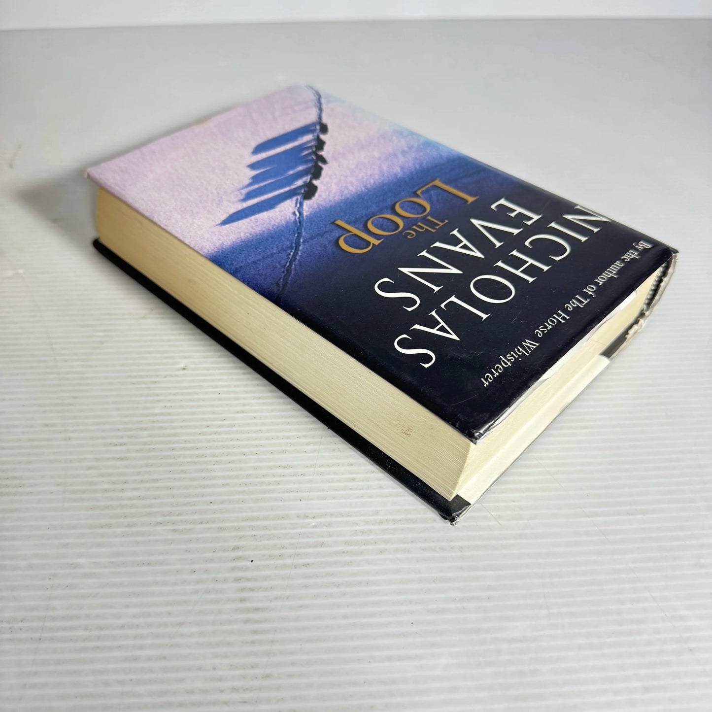 The Loop - Nicholas Evans