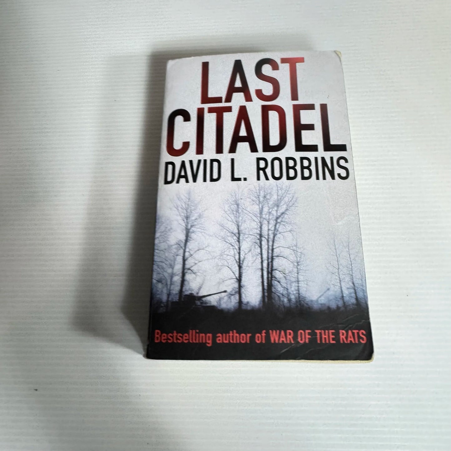 Last Citadel - David L. Robbins