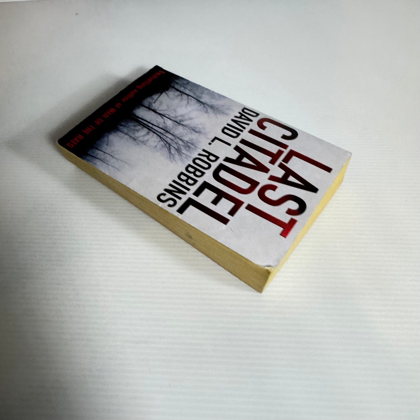 Last Citadel - David L. Robbins