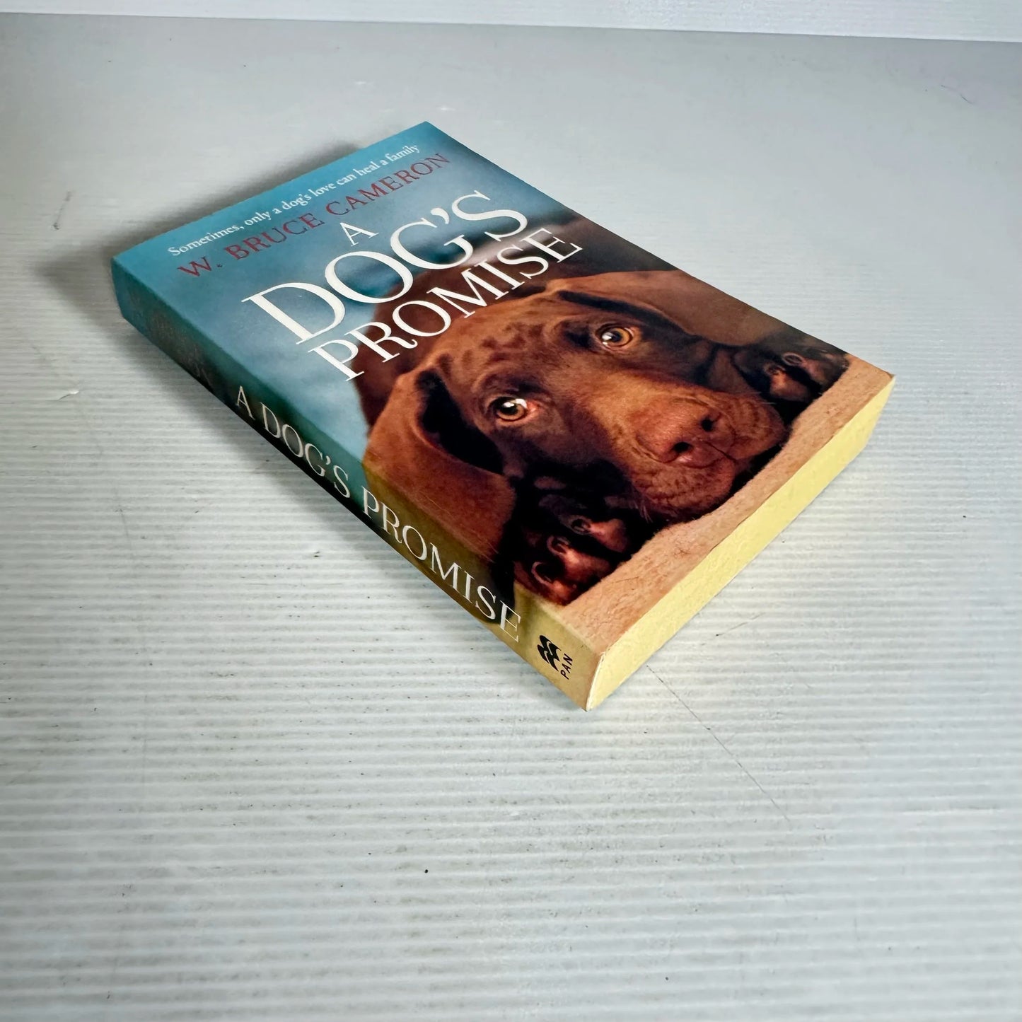 A Dog's Promise : Sometimes Only a Dog's Love Can Heal a Family - W. Bruce Cameron
