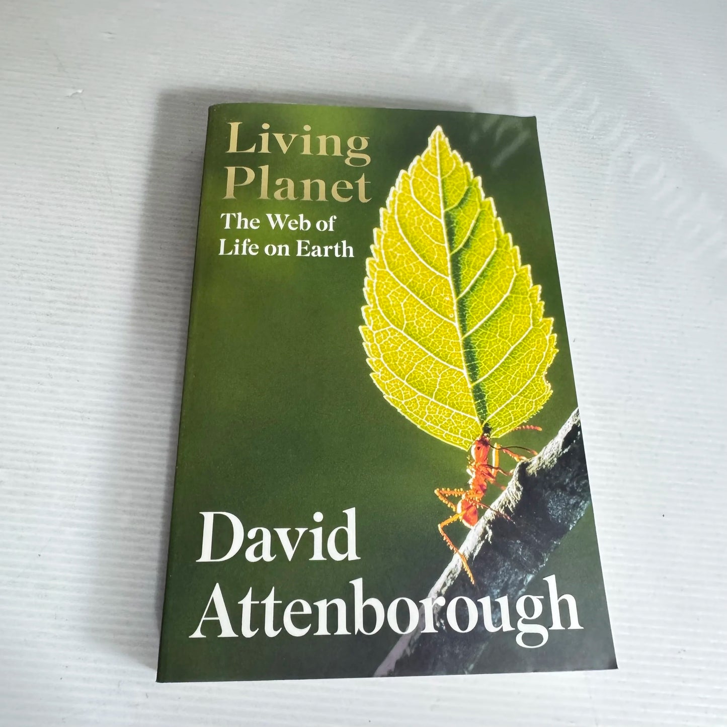 Living Planet : The Web of Life on Earth - David Attenborough