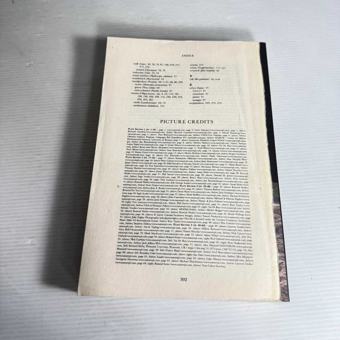 Living Planet : The Web of Life on Earth - David Attenborough