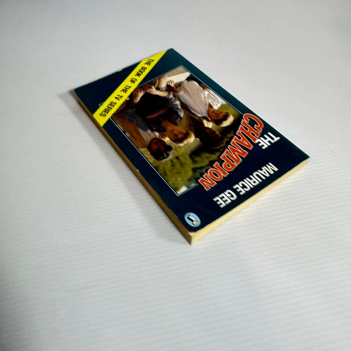 The Champion - Maurice Gee