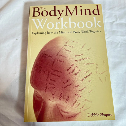 The Body Mind Workbook - Debbie Shapiro