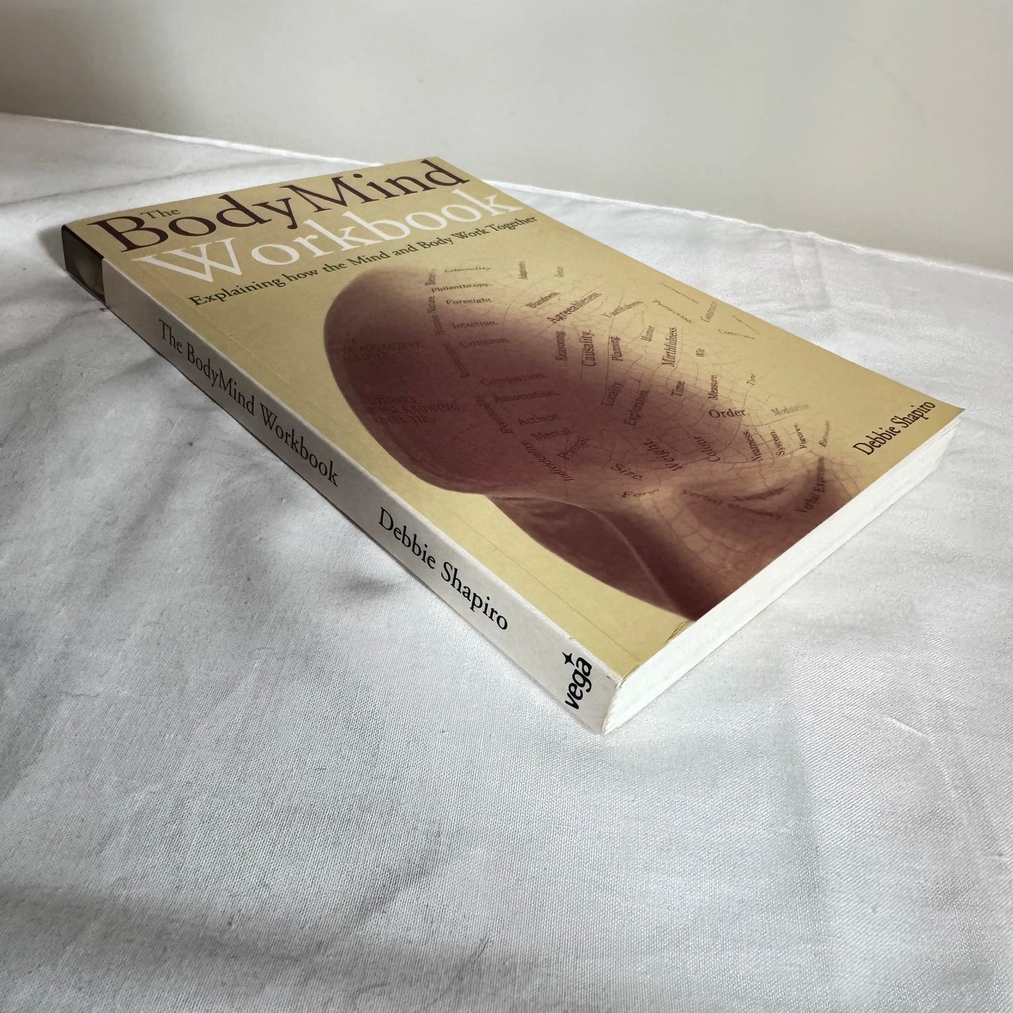 The Body Mind Workbook - Debbie Shapiro